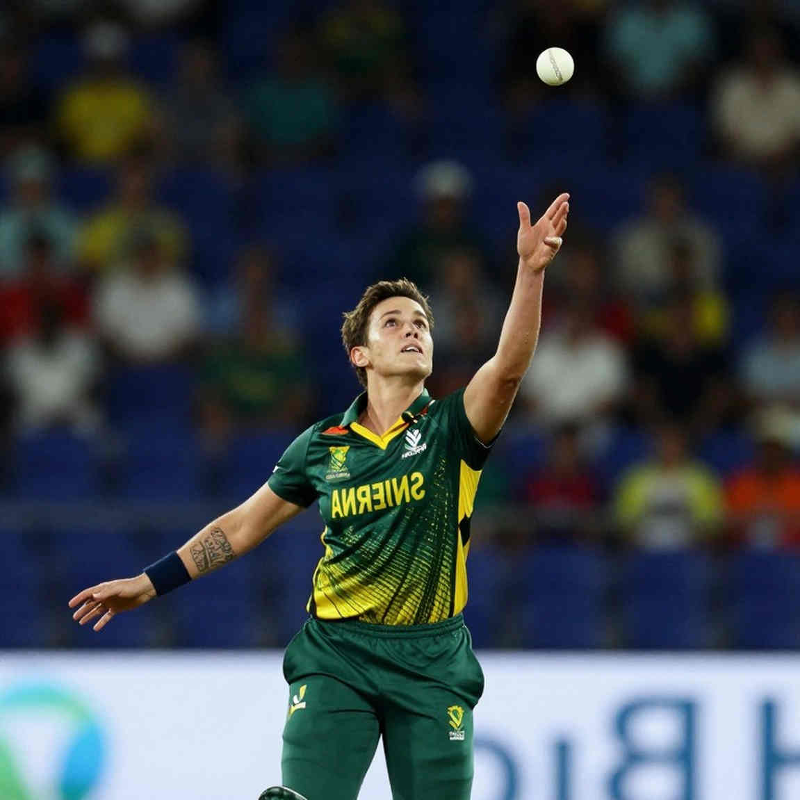Cricket's Transfer Window: The Hammer's Price and the NOC's Key Cricket's Transfer Window: The Hammer's Price and the NOC's Key